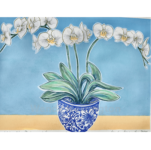 Aphrodite Phalaenopsis, 56/76cm, hand coloured silkscreen print