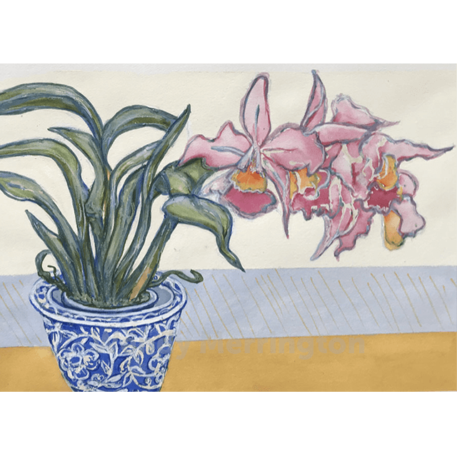 Cattleya Orchid, 45/33cm, watercolour goauche on paper